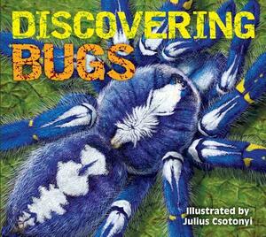 Discovering Bugs by 