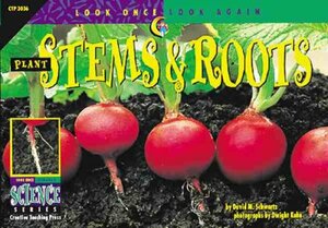 Plant Stems & Roots by David M. Schwartz