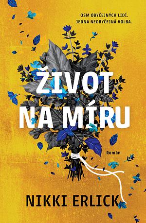 Život na míru by Nikki Erlick, Lenka Faltejsková