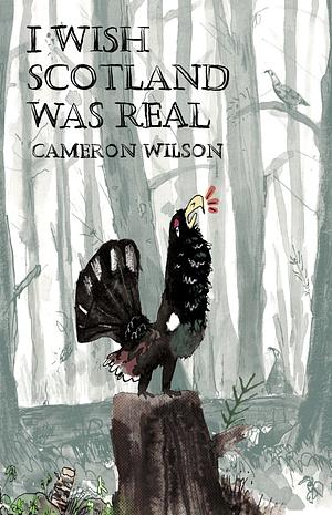 I Wish Scotland Was Real by Cameron Wilson