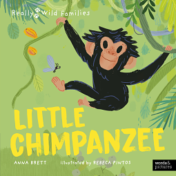 Little Chimpanzee: A Day in the Life of a Baby Chimp by Anna Brett