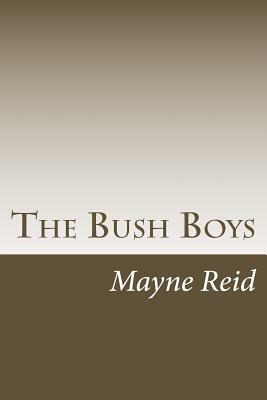 The Bush Boys by Mayne Reid