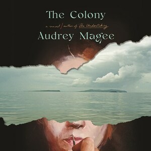 The Colony by Audrey Magee