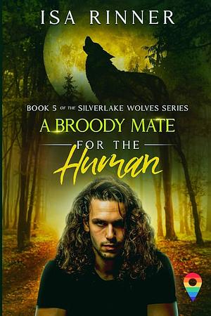 A Mysterious Slave for the Lycan Prince: Book 3 of the Silverlake Wolves Series by Isa Rinner