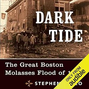 Dark Tide: The Great Boston Molasses Flood of 1919 by Stephen Puleo