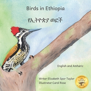 Birds in Ethiopia: The Fabulous Feathered Inhabitants of East Africa in Amharic and English by Ready Set Go Books
