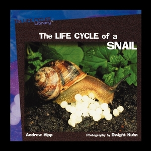 The Life Cycles of a Snail by Andrew Hipp