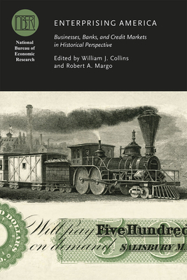 Enterprising America: Businesses, Banks, and Credit Markets in Historical Perspective by 