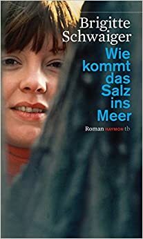 Wie kommt das Salz ins Meer by Brigitte Schwaiger