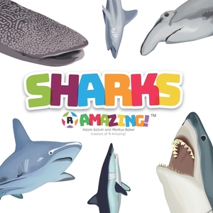 Sharks R Amazing! by Markus Baker, Adam Galvin, Mark Baker