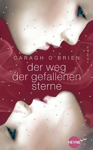 Der Weg der gefallenen Sterne: Roman by Caragh M. O'Brien