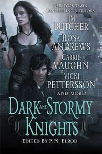 Dark and Stormy Knights: A Paranormal Fantasy Anthology by Lilith Saintcrow, Shannon K. Butcher, Ilona Andrews, Jim Butcher, Carrie Vaughn, P.N. Elrod, Rachel Caine, Deidre Knight, Vicki Pettersson