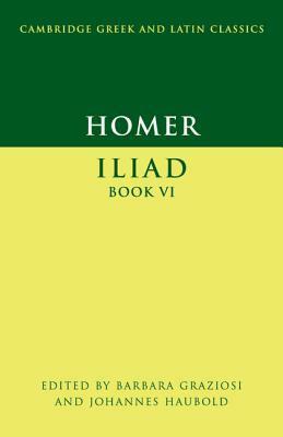 Iliad, Book VI by Barbara Graziosi, Homer, Johannes Haubold