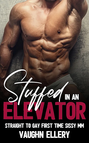 Stuffed in an Elevator: Straight to Gay First Time Sissy MM by Vaughn Ellery