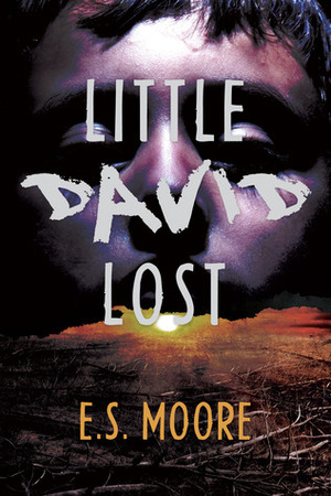 Little David Lost by E.S. Moore