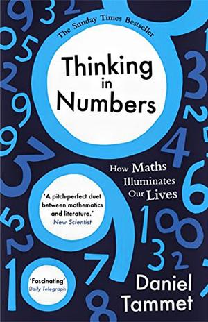 Thinking in Numbers by Daniel Tammet