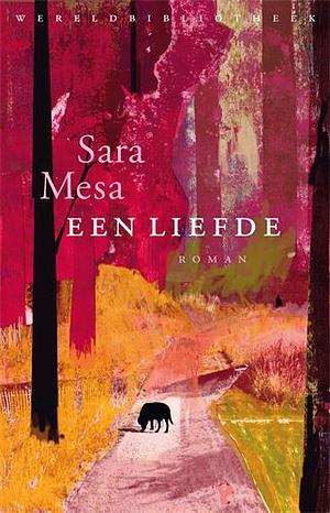 Een liefde by Sara Mesa