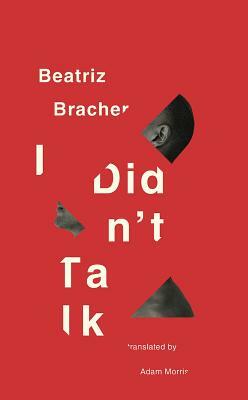 I Didn't Talk by Beatriz Bracher