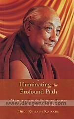 Illuminating the Profound Path: A Commentary on the Preliminary Practices of the Rangjung Pema Nyingthik by Dilgo Khyentse