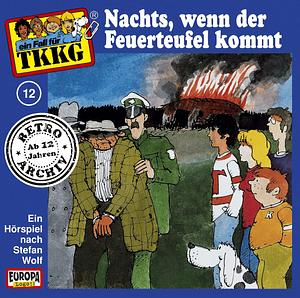 TKKG - Nachts, wenn der Feuerteufel kommt: Band 12 by Stefan Wolf