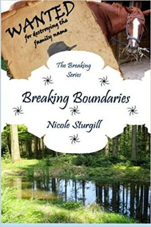 Breaking Boundaries by Nicole Sturgill