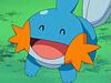 mudkip_reads's profile picture