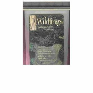 Wildlings by Mary Leister