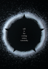 Salt Is For Curing by Sonya Vatomsky