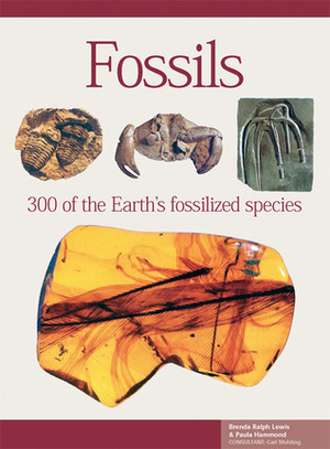 Fossils by Carl Mehling, Paula Hammond