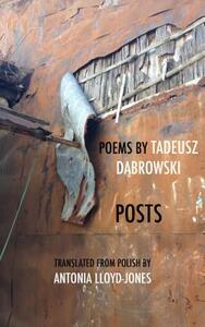 Posts by Tadeusz Dąbrowski