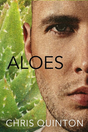 Aloes by Chris Quinton