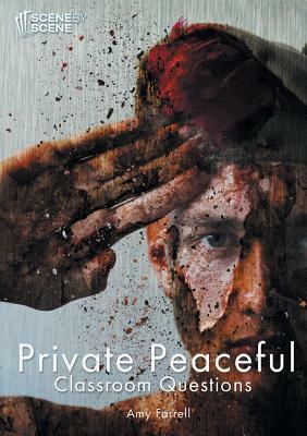 Private Peaceful Classroom Questions by Amy Farrell