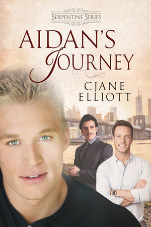 Aidan's Journey by CJane Elliott