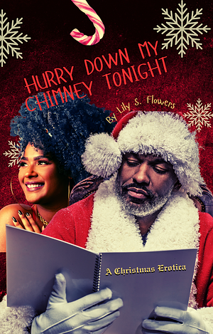 Hurry Down My Chimney Tonight by Lily S. Flowers