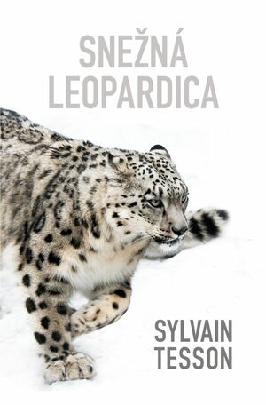 Snežná leopardica by Sylvain Tesson