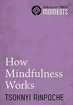 How Mindfulness Works by Tsoknyi Rinpoche