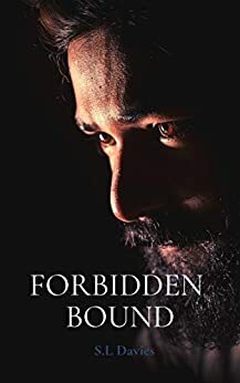 Forbidden Bound by S.L. Davies