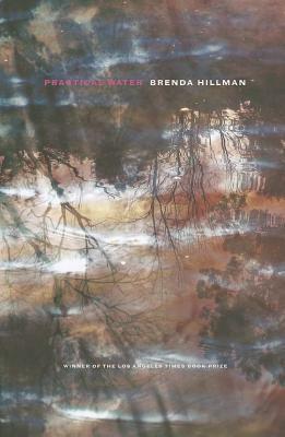 Practical Water by Brenda Hillman