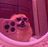 3ls's profile picture