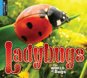 Ladybugs by Jared Siemens