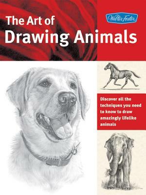 The Art of Drawing Animals by Cindy Smith, Nolon Stacey, Patricia Getha