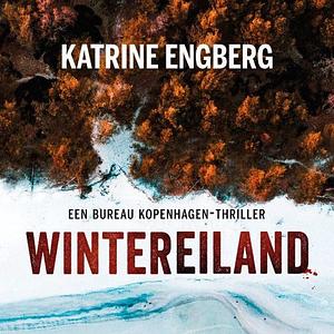 Wintereiland by Katrine Engberg