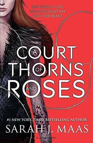 a Court of Thorns and Roses Court Velaris Acotar S Dream: Lined Journal  Notebook, Memo Diary Subject Notebooks Planner, for Travelers, Students