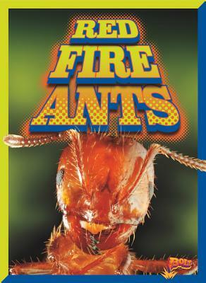 Red Fire Ants by Scott Pearson