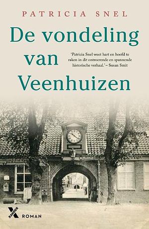 De vondeling van Veenhuizen by Patricia Snel