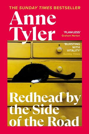 Redhead by the Side of the Road by Anne Tyler