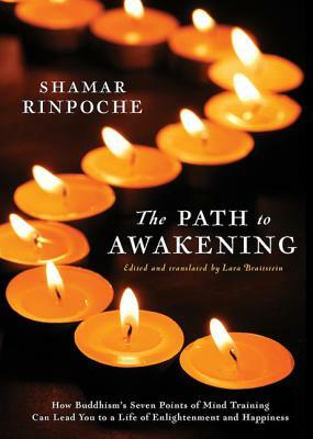 The Path to Awakening: How Buddhism's Seven Points of Mind Training Can Lead You to a Life of Enlightenment and Happiness by Shamar Rinpoche, Braitstein Lara (Trans ).