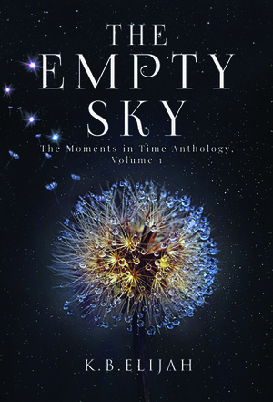 The Empty Sky by K.B. Elijah