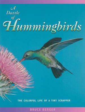 A Dazzle of Hummingbirds: The Colorful Life of a Tiny Scrapper by Bruce Berger