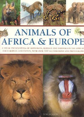 Animals of Africa and Europe: A Visual Encyclopedia of Amphibians, Reptiles and Mammals in the Asian and Australasian Continents, with Over 350 Illu by Tom Jackson